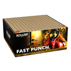 Fast Punch